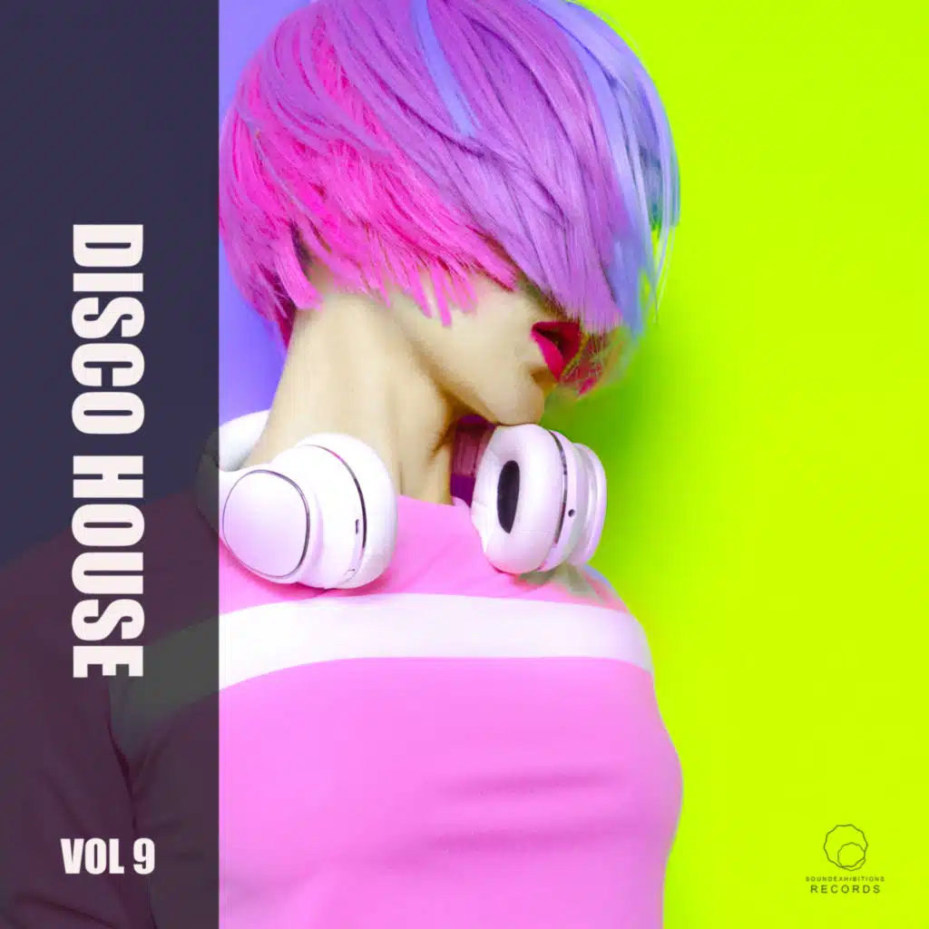 Disco House Vol 9