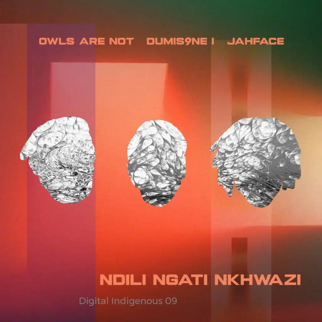 Digital Indigenous 09: Ndili Ngati Nkhwazi (feat. Dumis9ne I & Jahface)