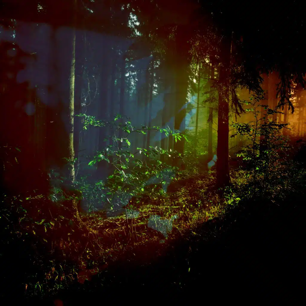 Where the Light Falls