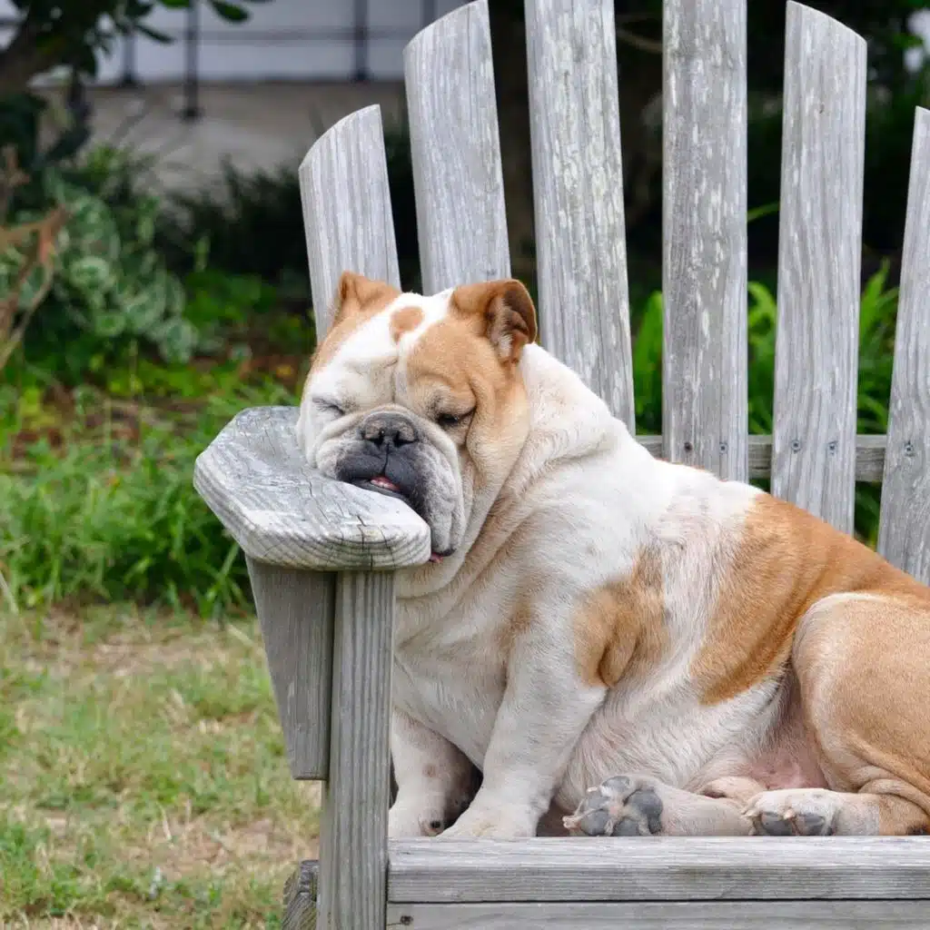 Breathing Exercise | 4 Minutes of Deep Relaxation | Anxiety Relief | Pranayama Exercise