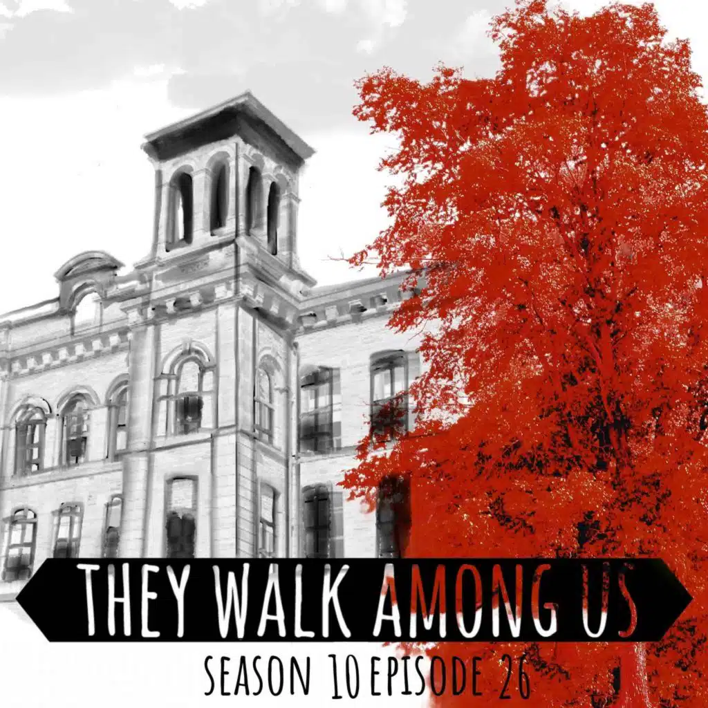 Hidden In Plain Sight / Mary Gregson / Ian Lowther