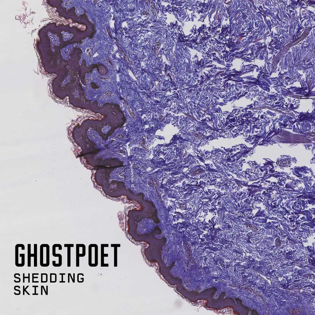 Shedding Skin (feat. Melanie De Biasio)