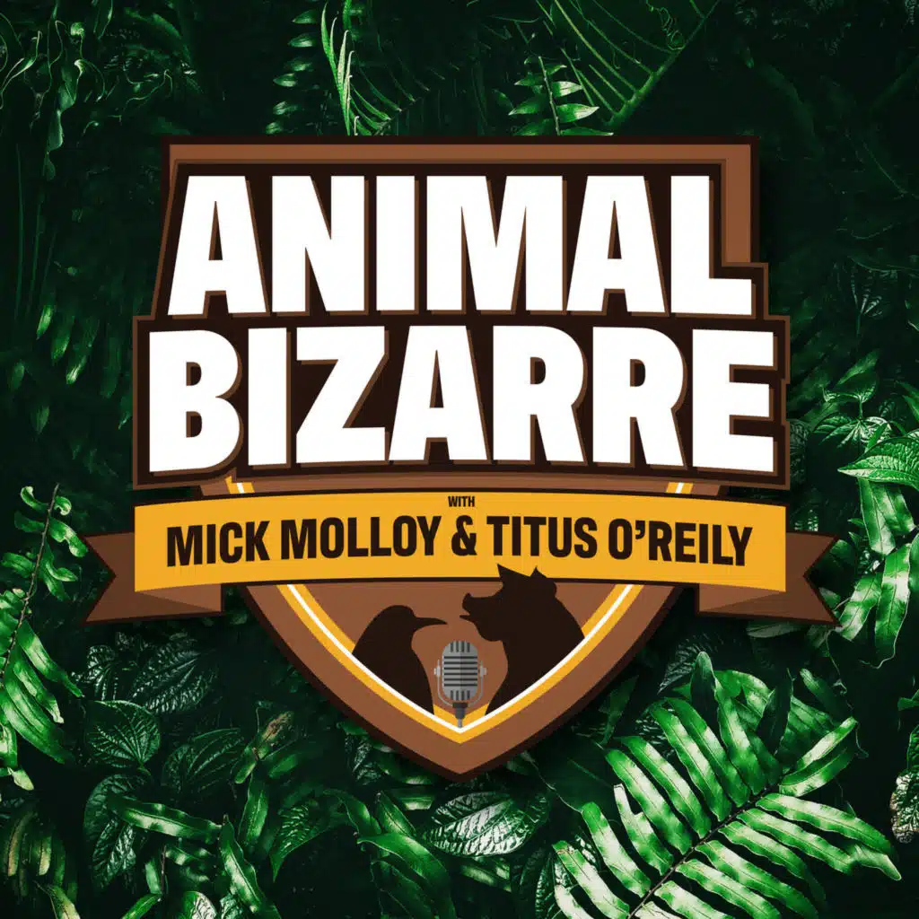 Royal Stings and Tentacle Flings - Animal Bizarre