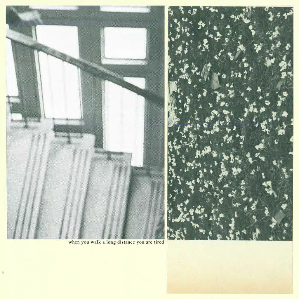 When You Walk A Long Distance You Are Tired (Deluxe Edition)