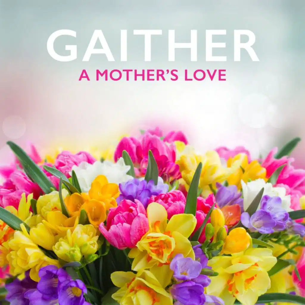 Mary Was The First One To Carry The Gospel