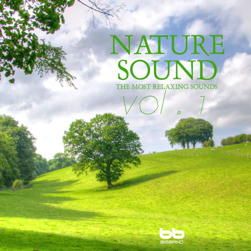 명상을 위한 자연의 소리 1 (힐링사운드)