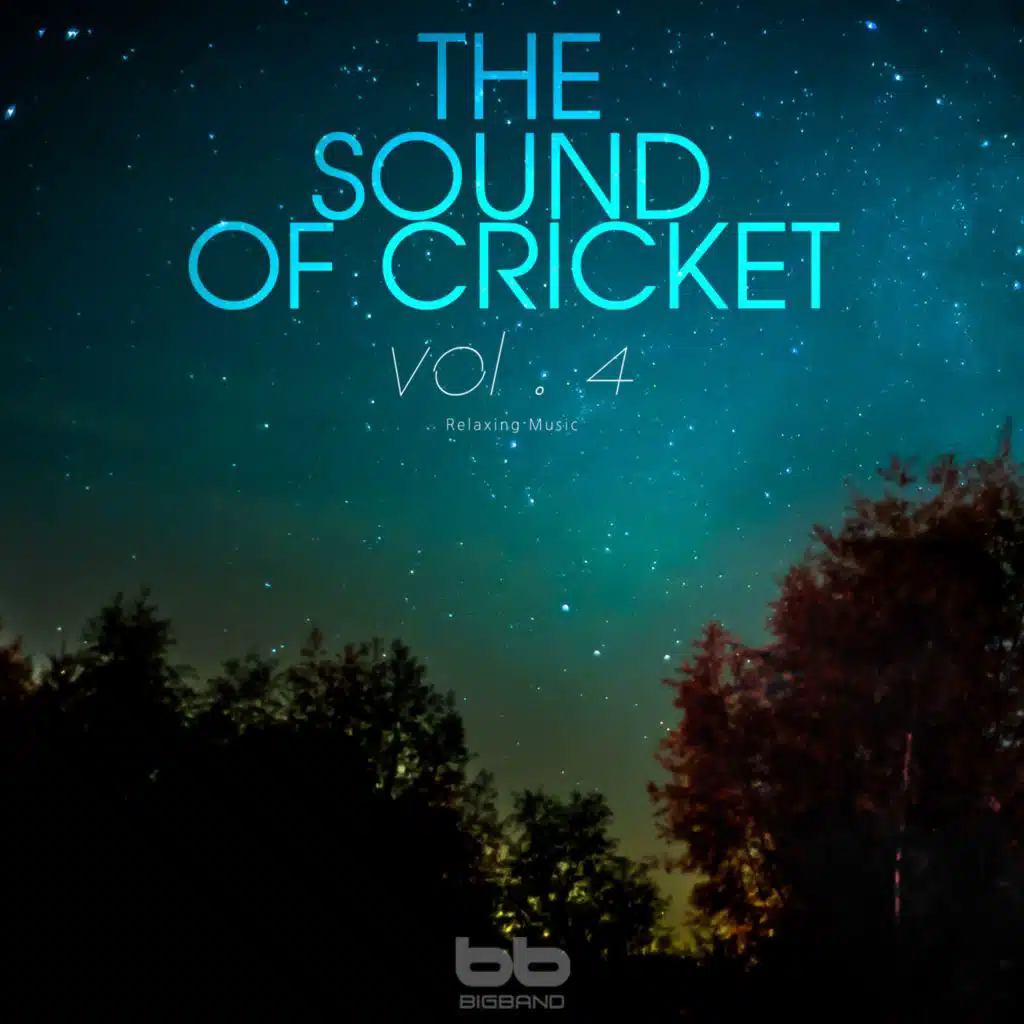 The Sound of Cricket, Vol. 4 (Relaxation,Relaxing Muisc,Insomnia,Deep Sleep,Meditation,Concentration,Lullaby,Prenatal Care,Healing,Memorization,Yoga,Spa