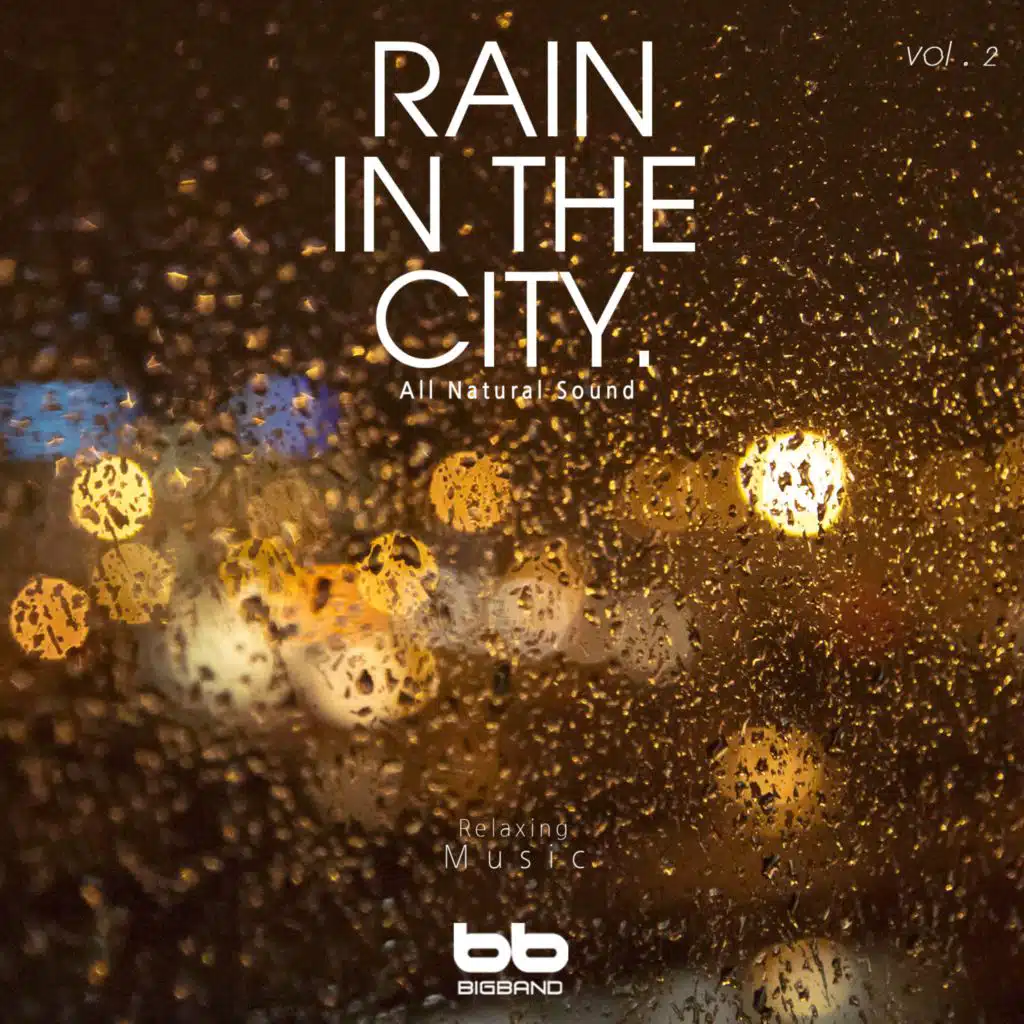Rain In The City