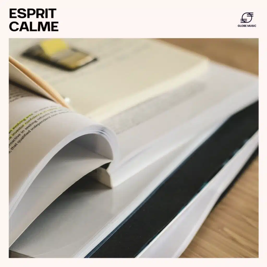 Musique D'étude Facile, Musique D'étude, Musique Concentration & Musique pour Étudier