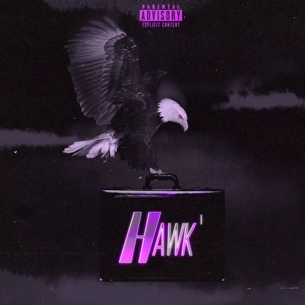 HAWK¹