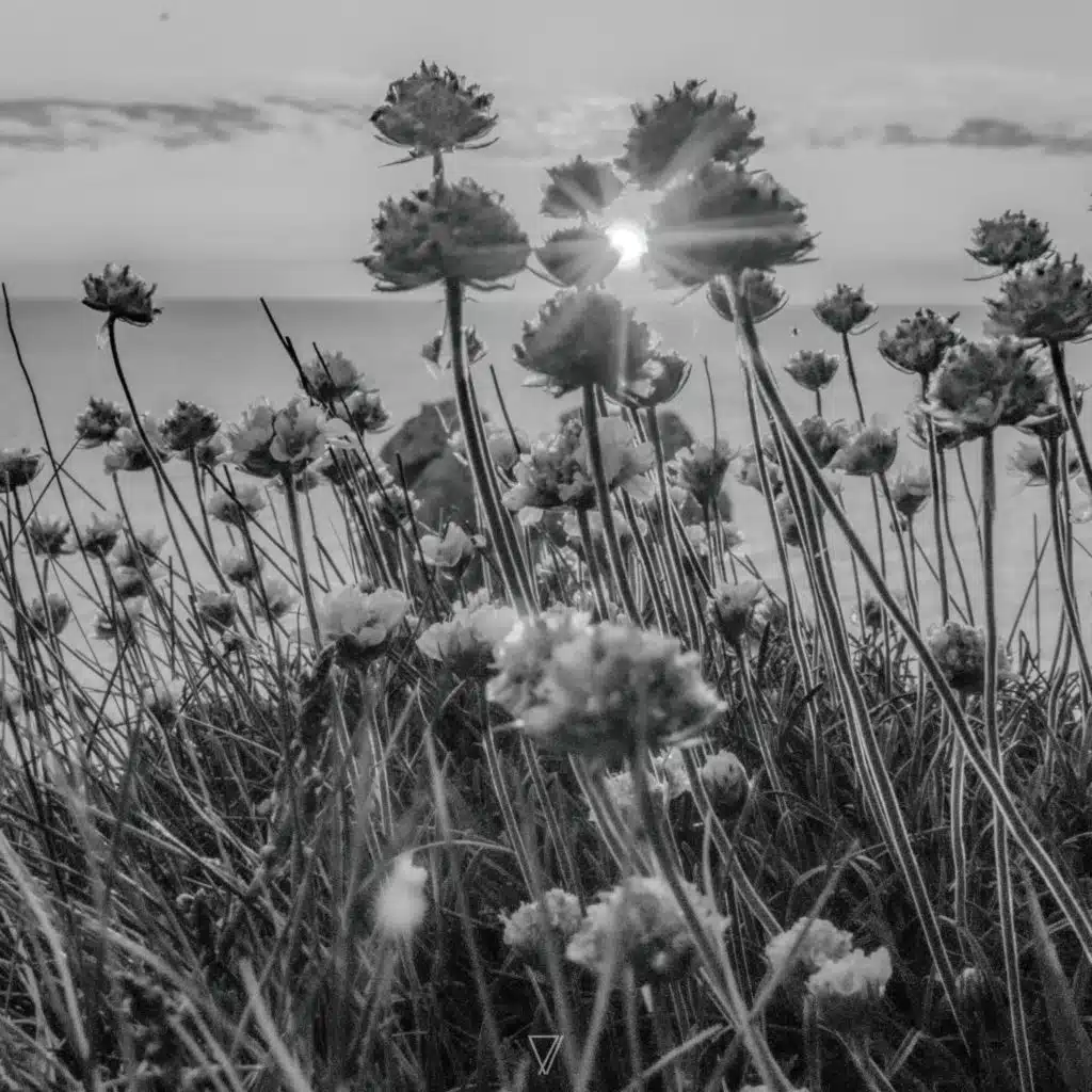 It's Weird (Ambient Version)