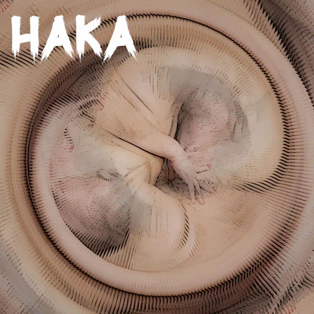 Haka