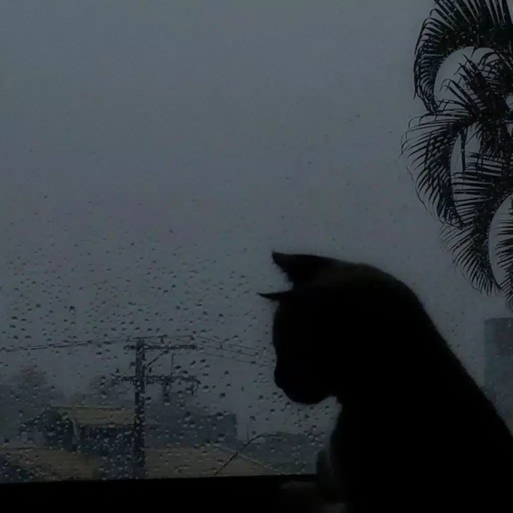 Пограничное расстройство личности  (slowed) [feat. ethan evans]