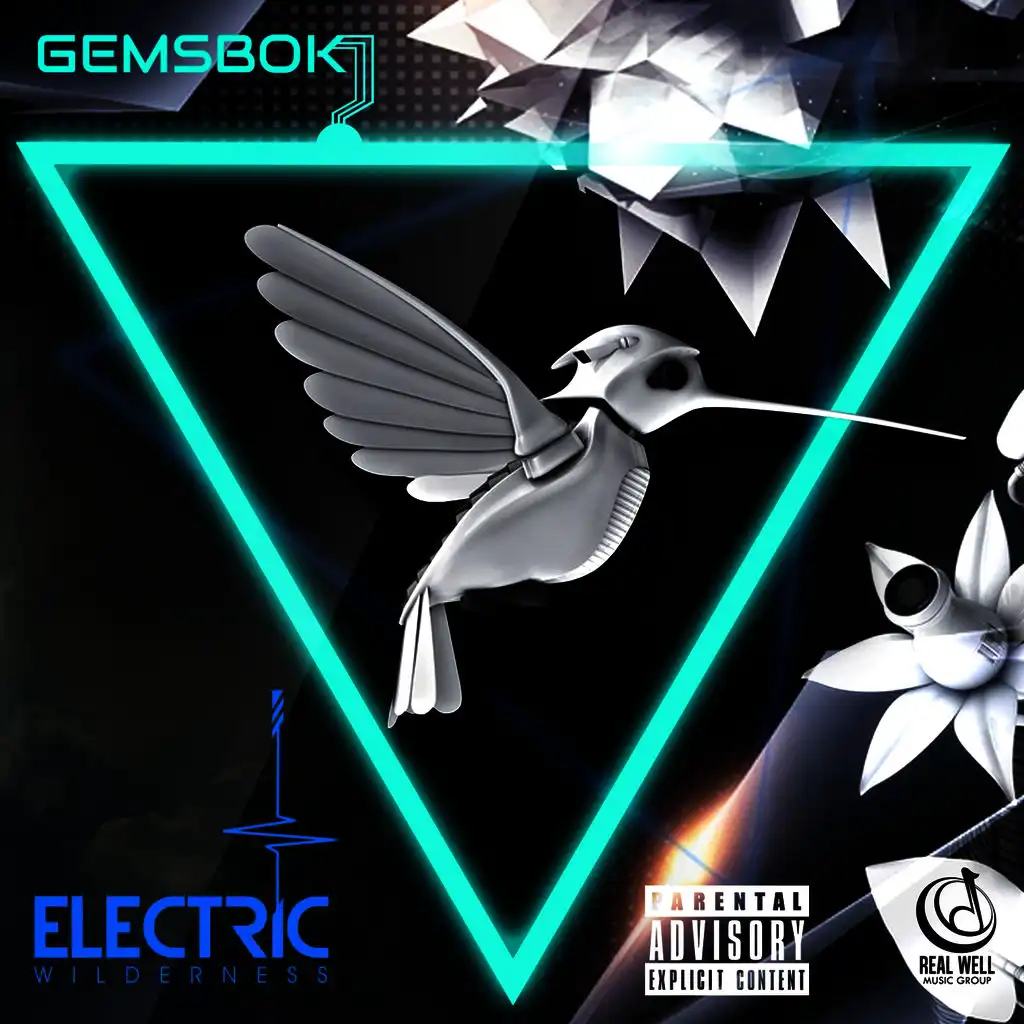 Electric Wilderness