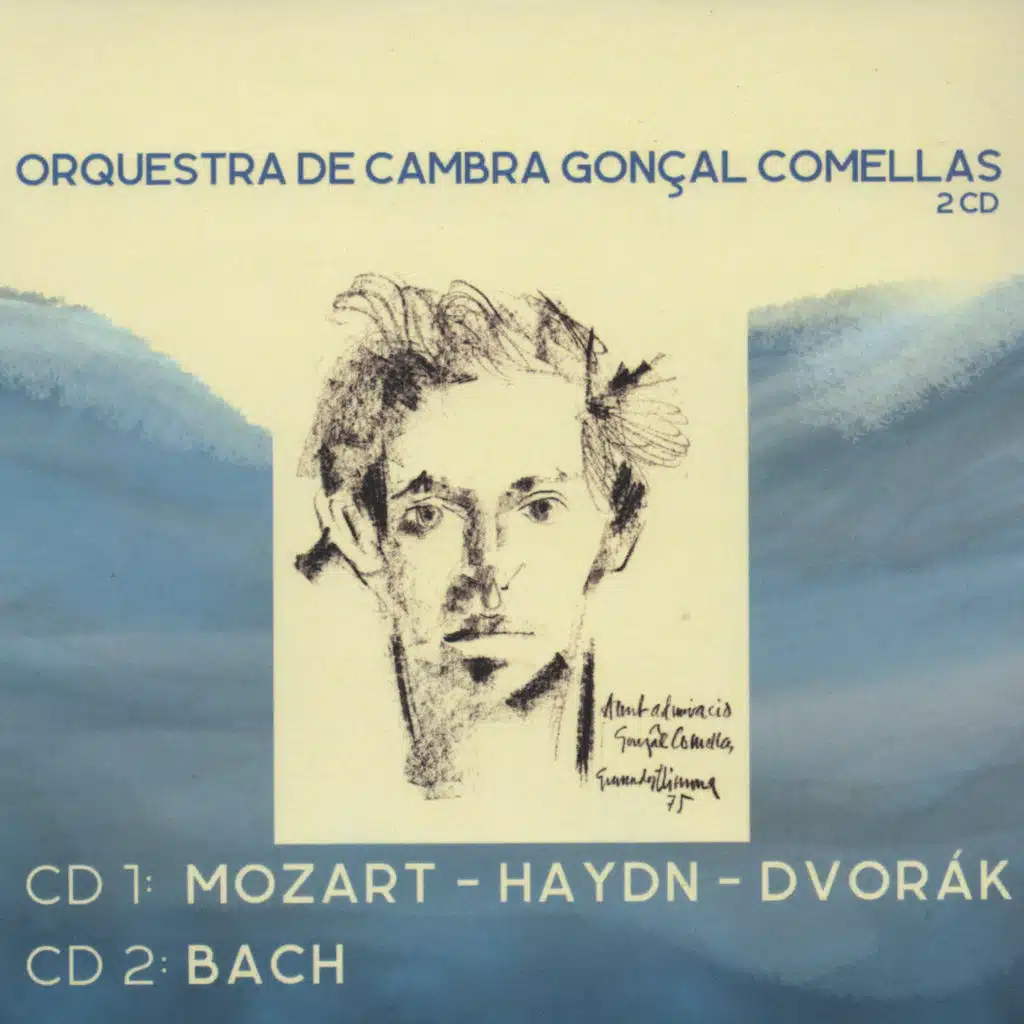 Orquestra de cambra Gonçal Comellas