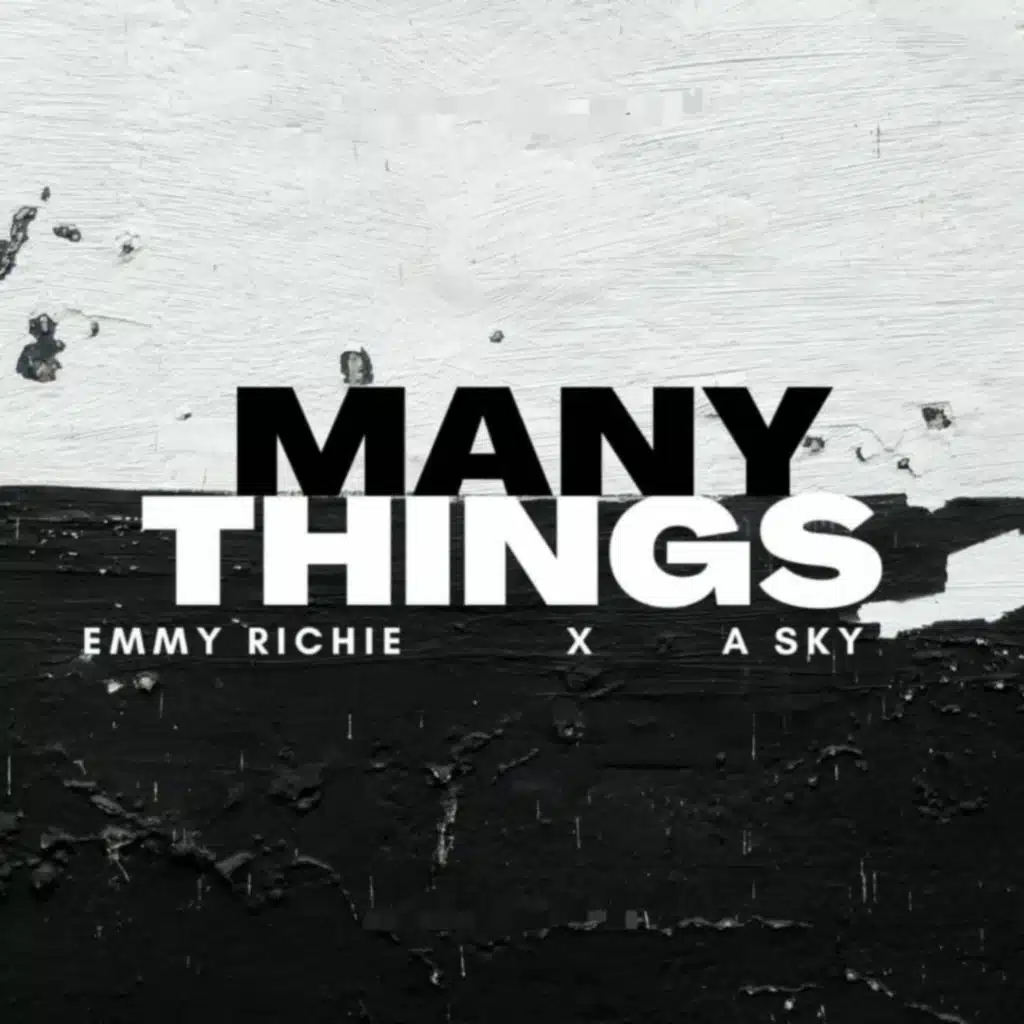 Many Things (feat. Emmy Richie)