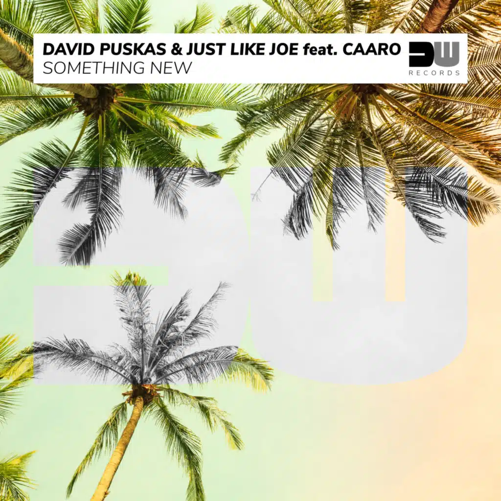 David Puskas & Just Like Joe