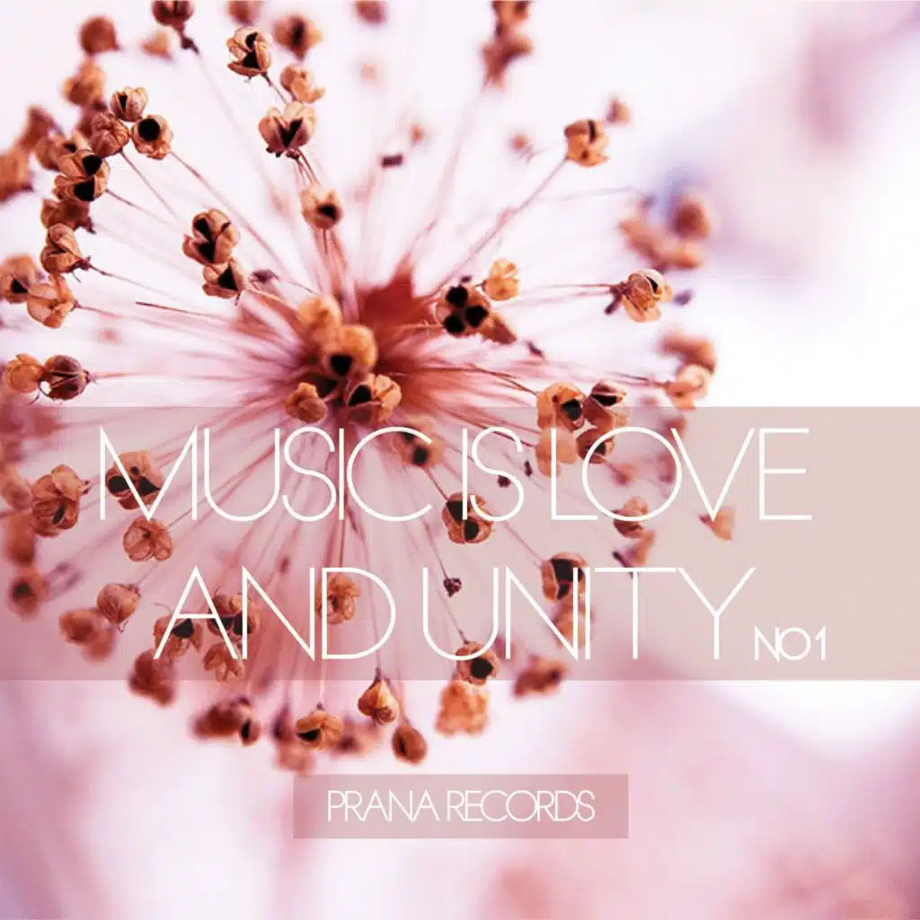 Music Is Love and Unity