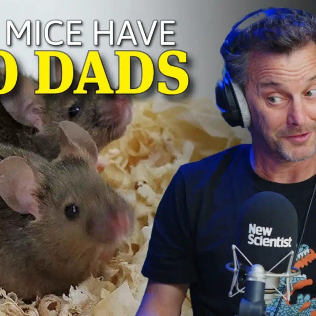 Mice with two dads; perfect your sleep with science; how lizards survived dinosaur-killing asteroid