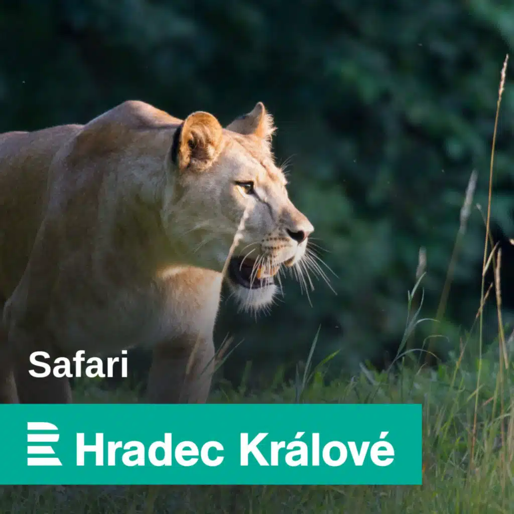 ZOO nás baví! Děti v prostorách dvorské Darwinovy stanice pečují o hady, myši, ryby, želvy a leguána