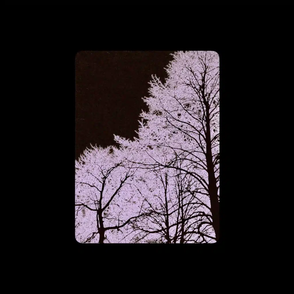 bea (ep)