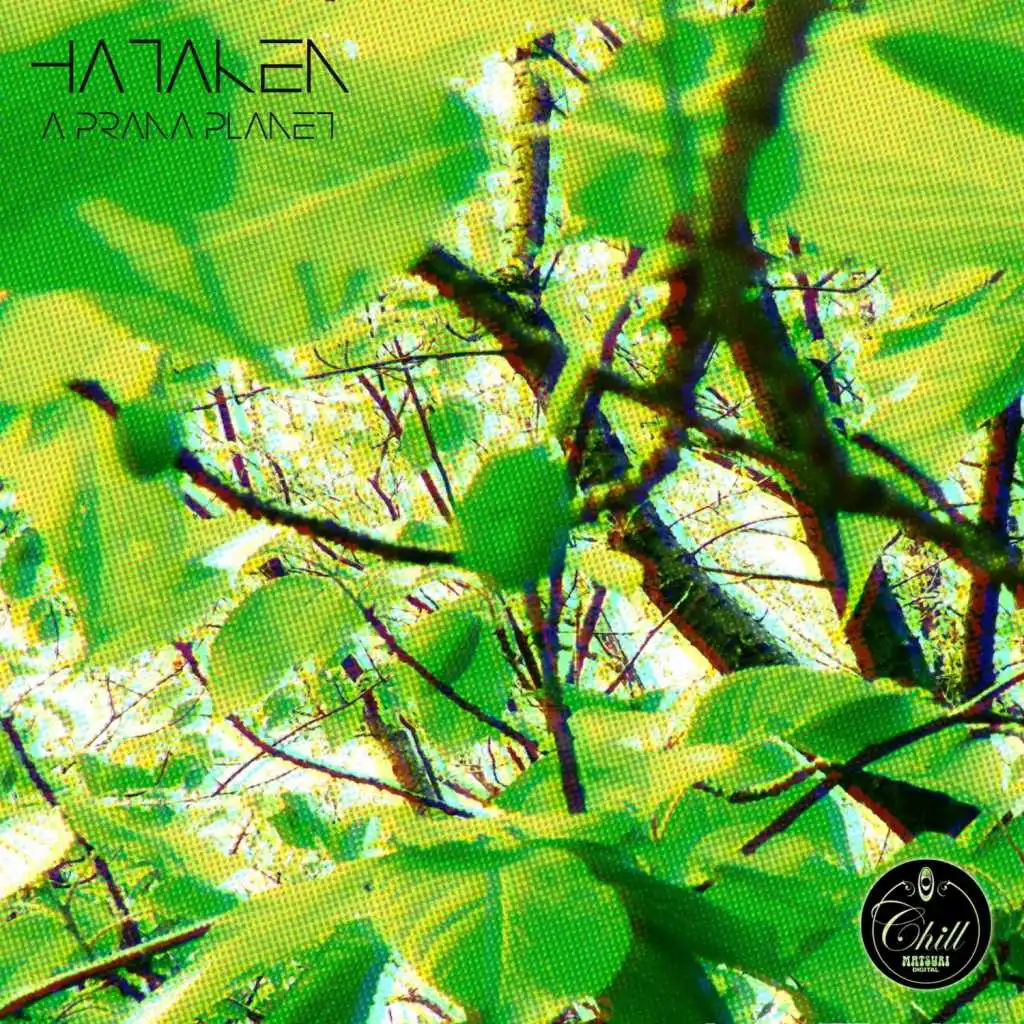 HATAKEN