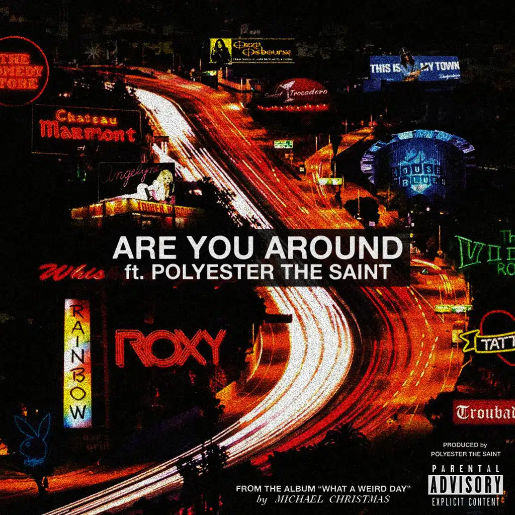 Are You Around (feat. Polyester The Saint)