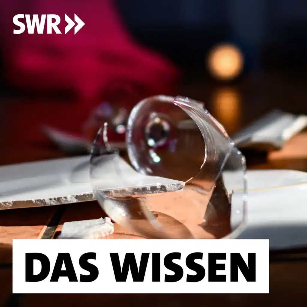 Häusliche Gewalt gegen Frauen und Männer – Blinde Flecken in der Forschung