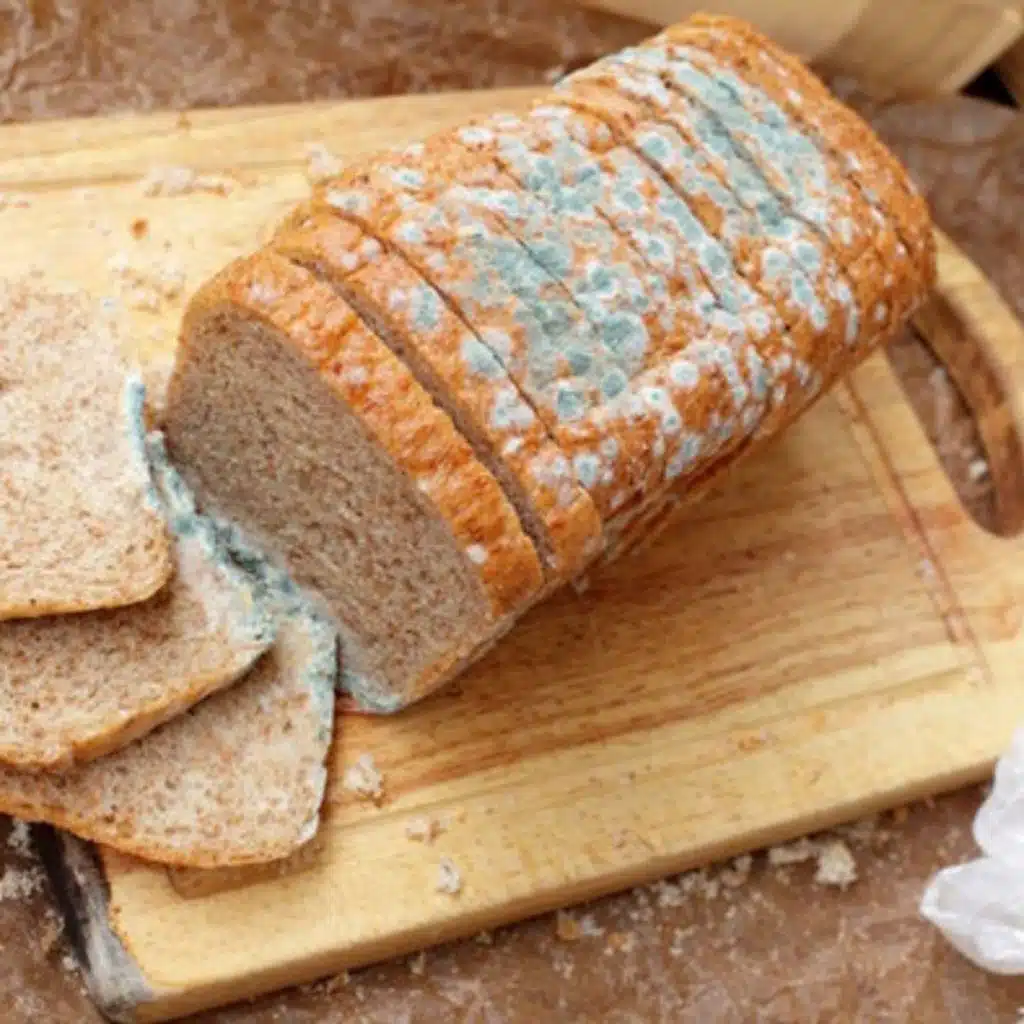 293: J-ing and K-ing