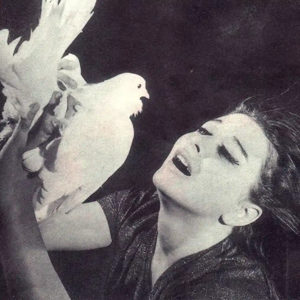 الحب وأشياء أخري