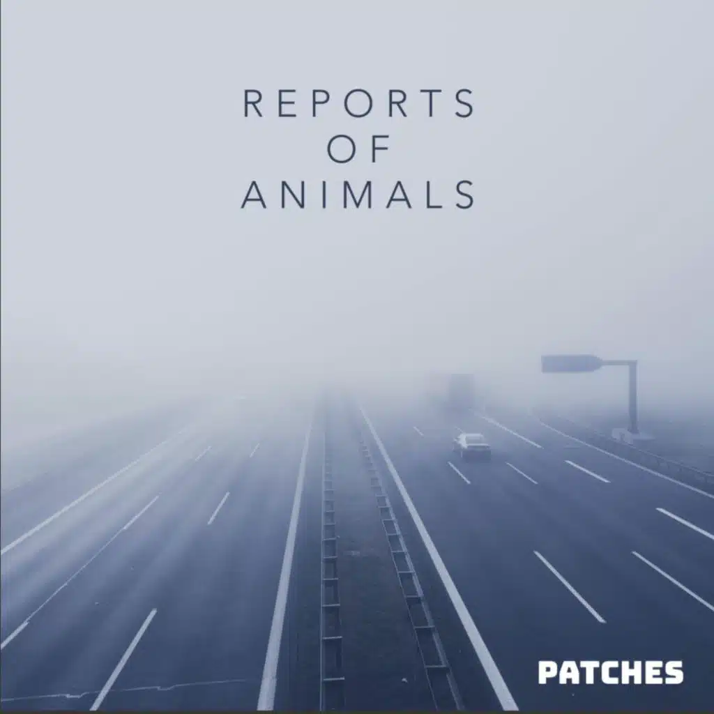 Reports of Animals