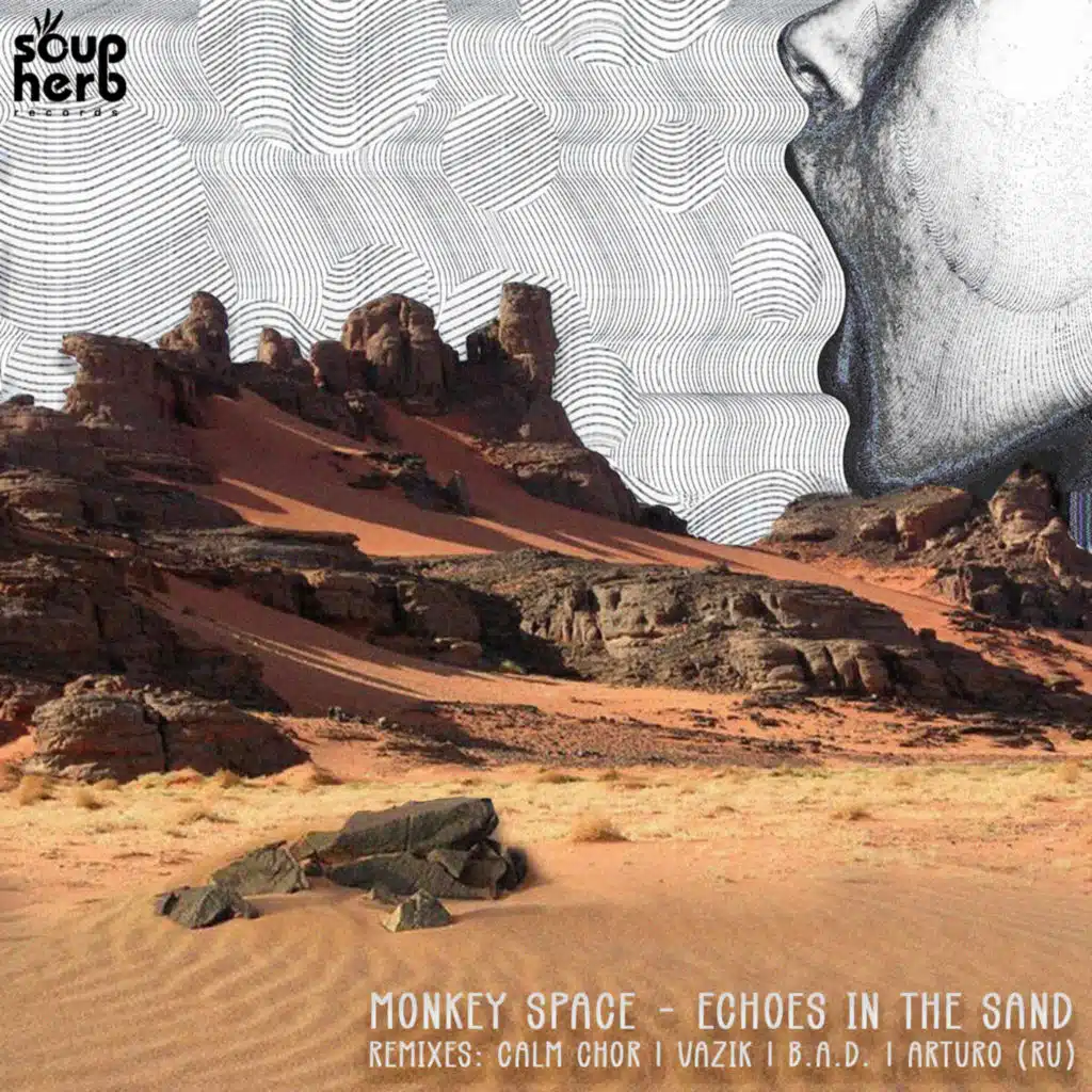 Monkey Space