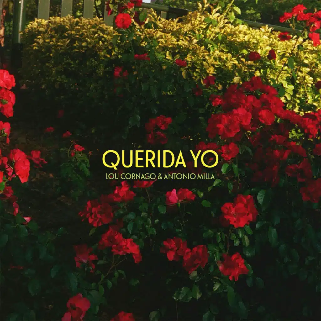 Querida yo