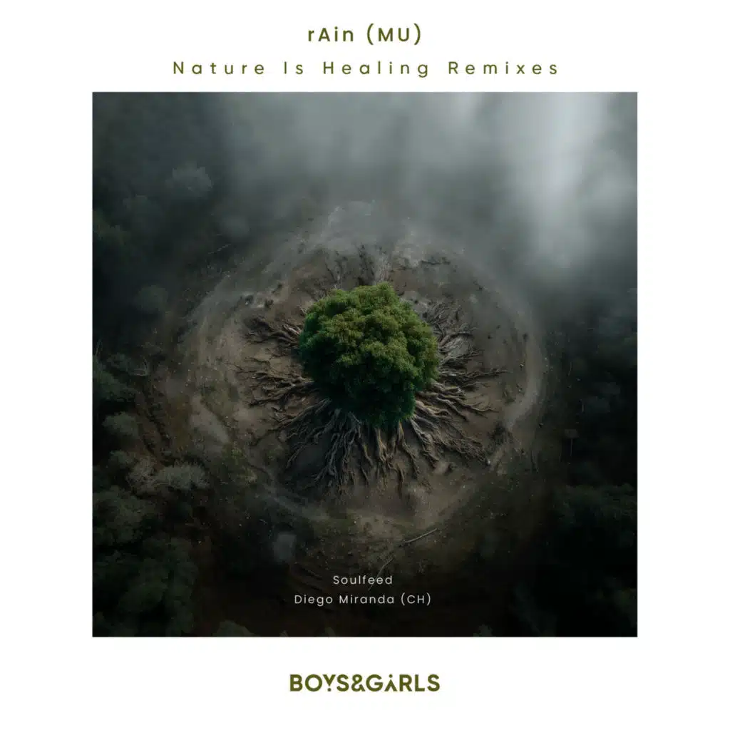 Nature Is Healing (Remixes)