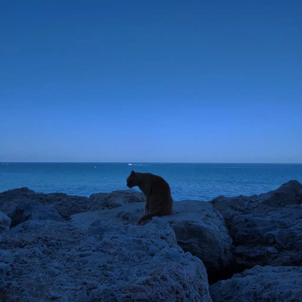 Mientras Baja La Marea