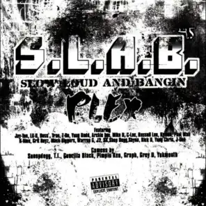 The South (S.L.A.B.ed) [ft. Boss, Redd, Z-Ro, Lil B & J-Doe]