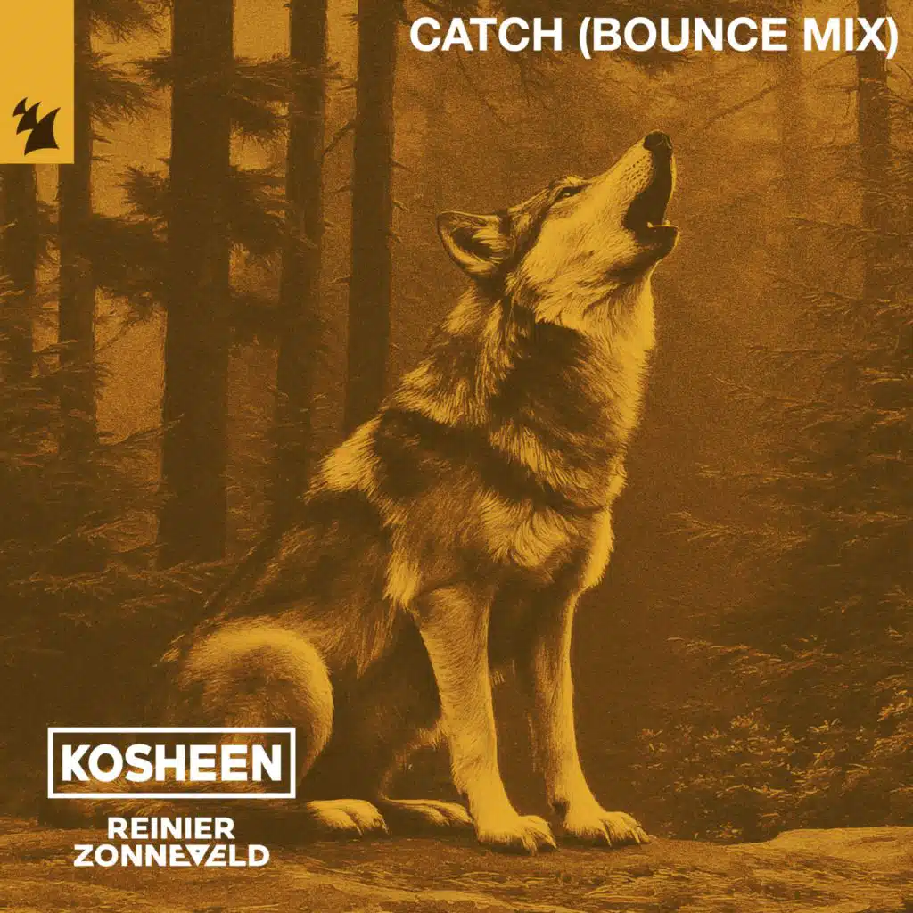 Catch (Bounce Mix)