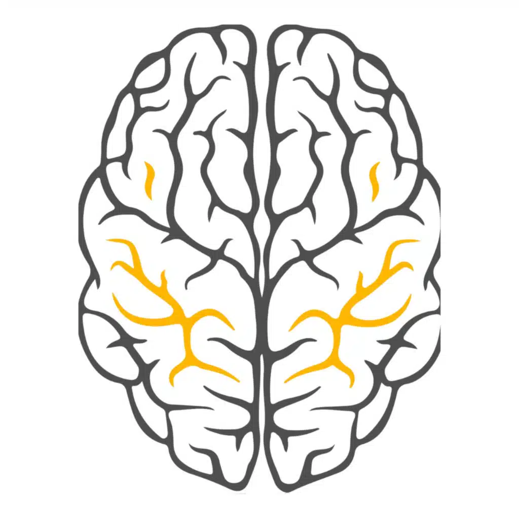 WHO CNS 5 classification - ما يجب معرفته عن أورام الجهاز العصبي 