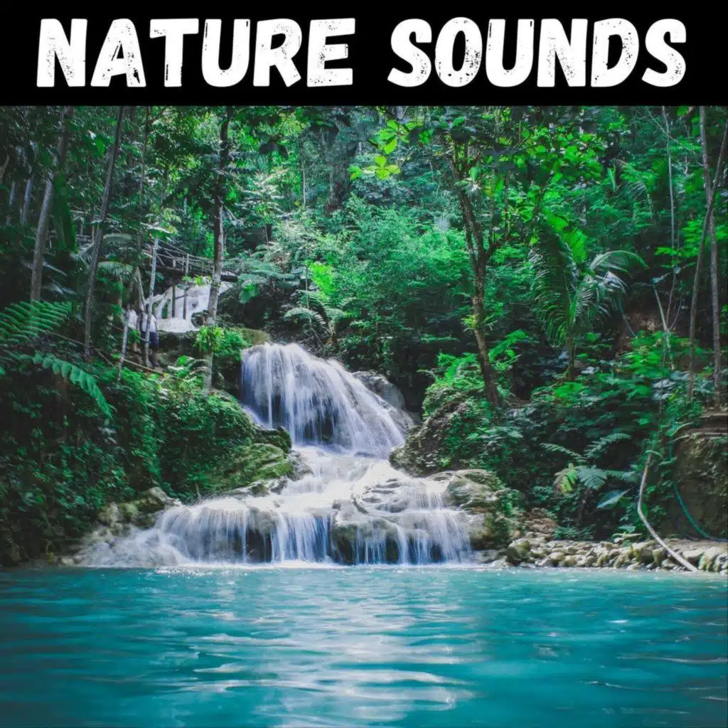 Large Fountain in Park - 10 Hours for Sleep, Meditation, & Relaxation