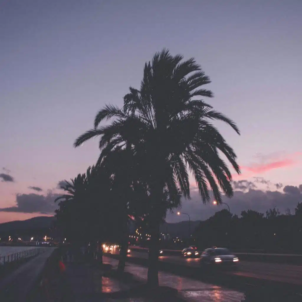 chill summer nights mix