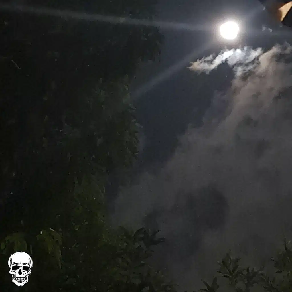 Konokin & CLANDESTINE$IDE