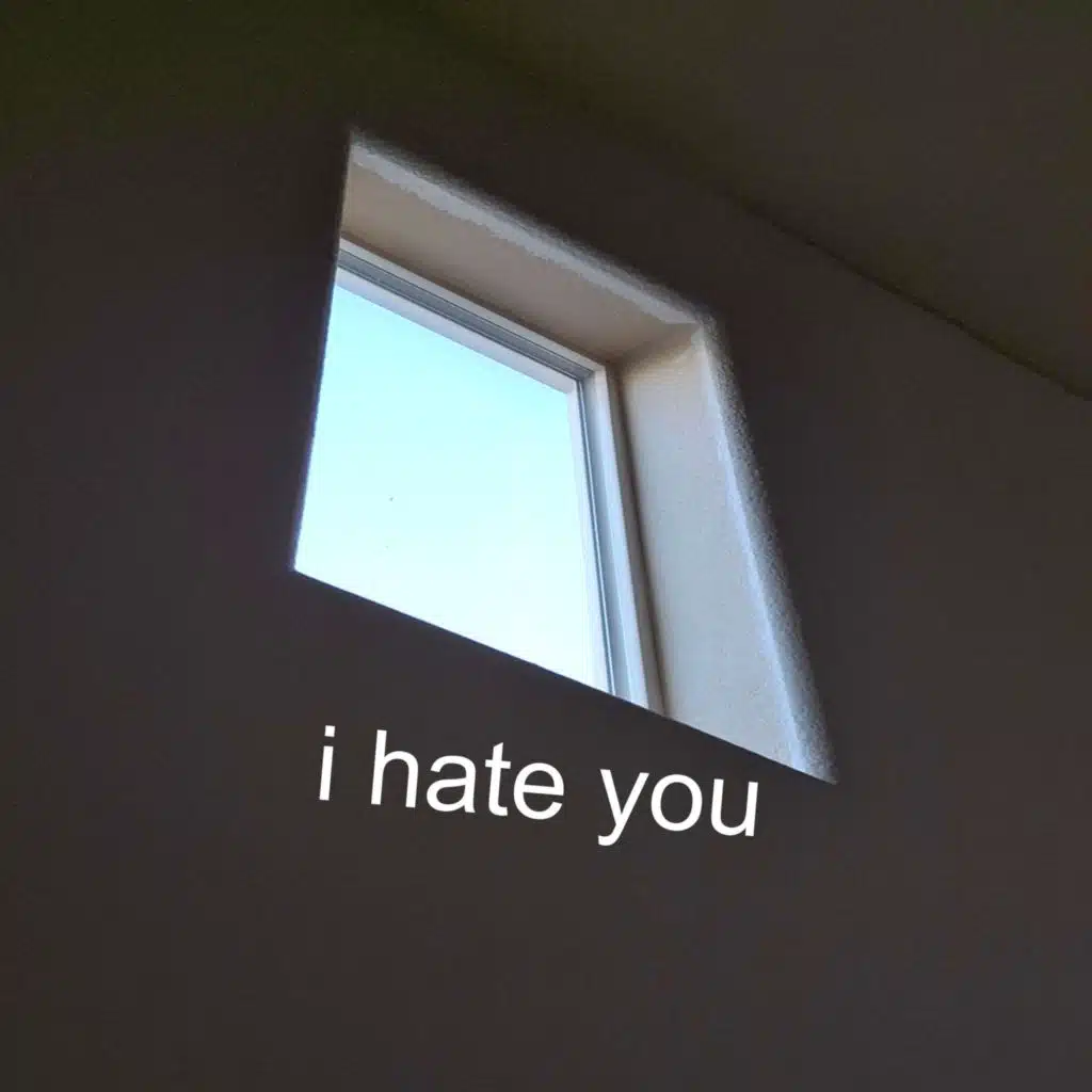 i hate you
