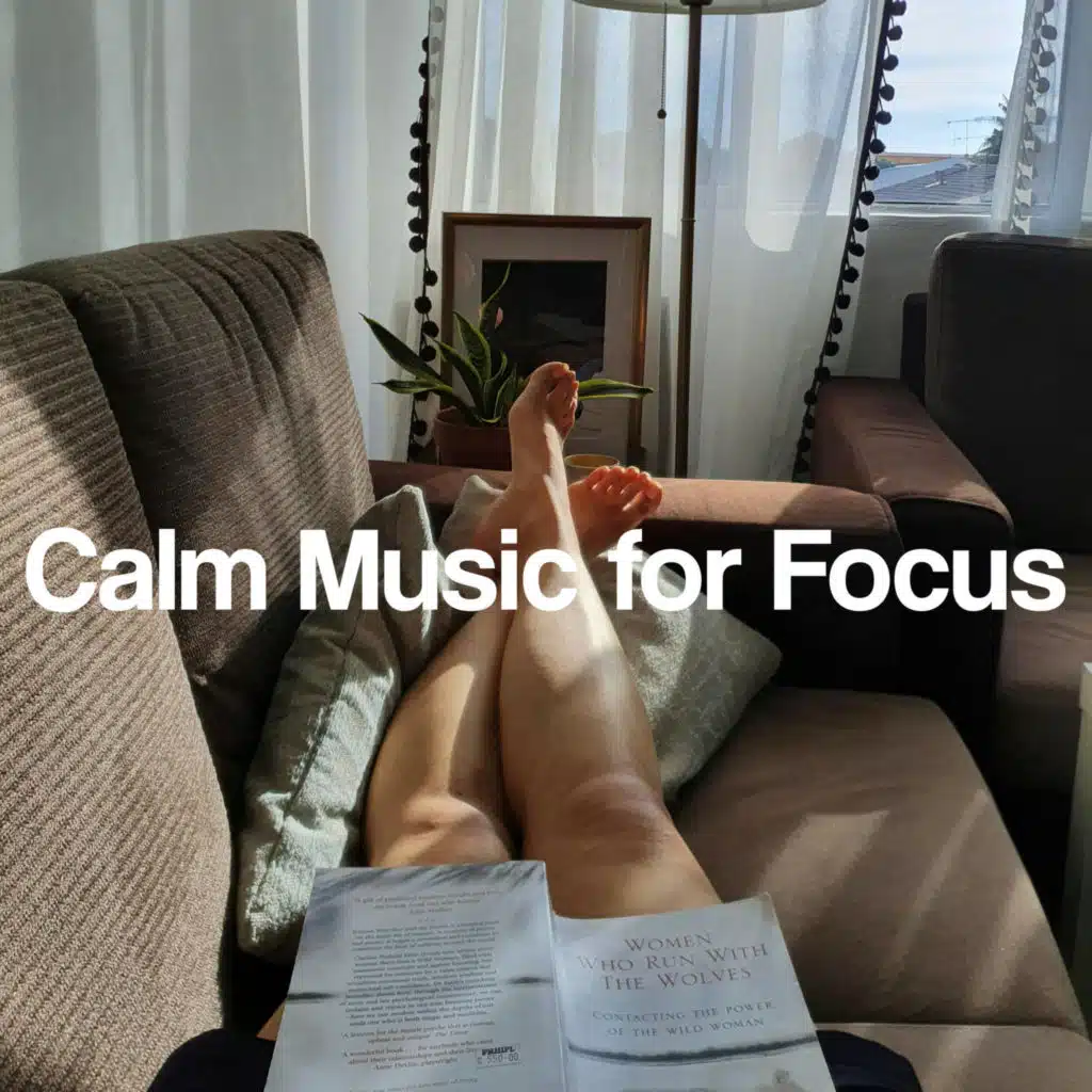 Calm Music for Focus