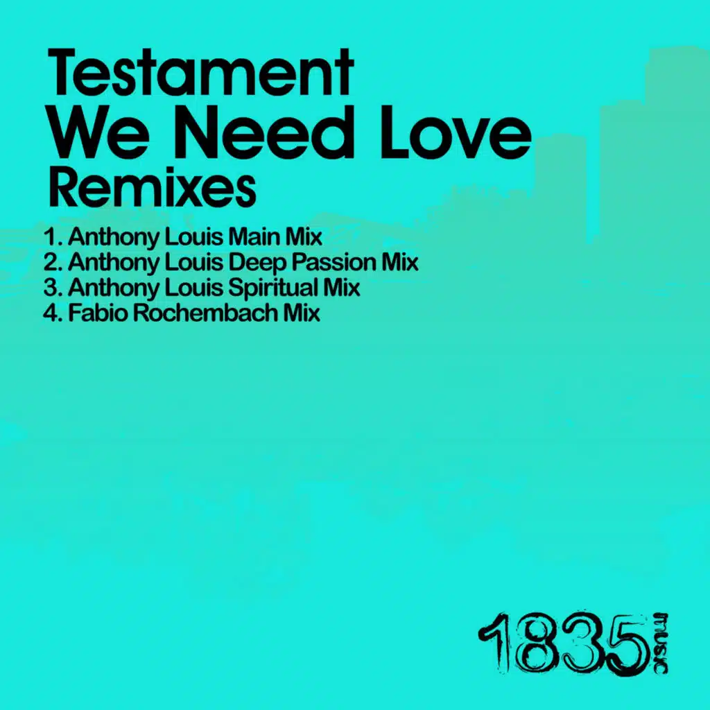 We Need Love (Fabio Rochembach Mix)