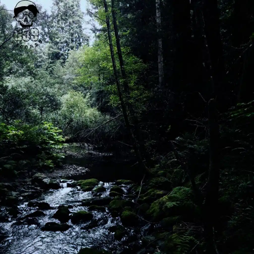 Meet Me Where the River Turns Grey