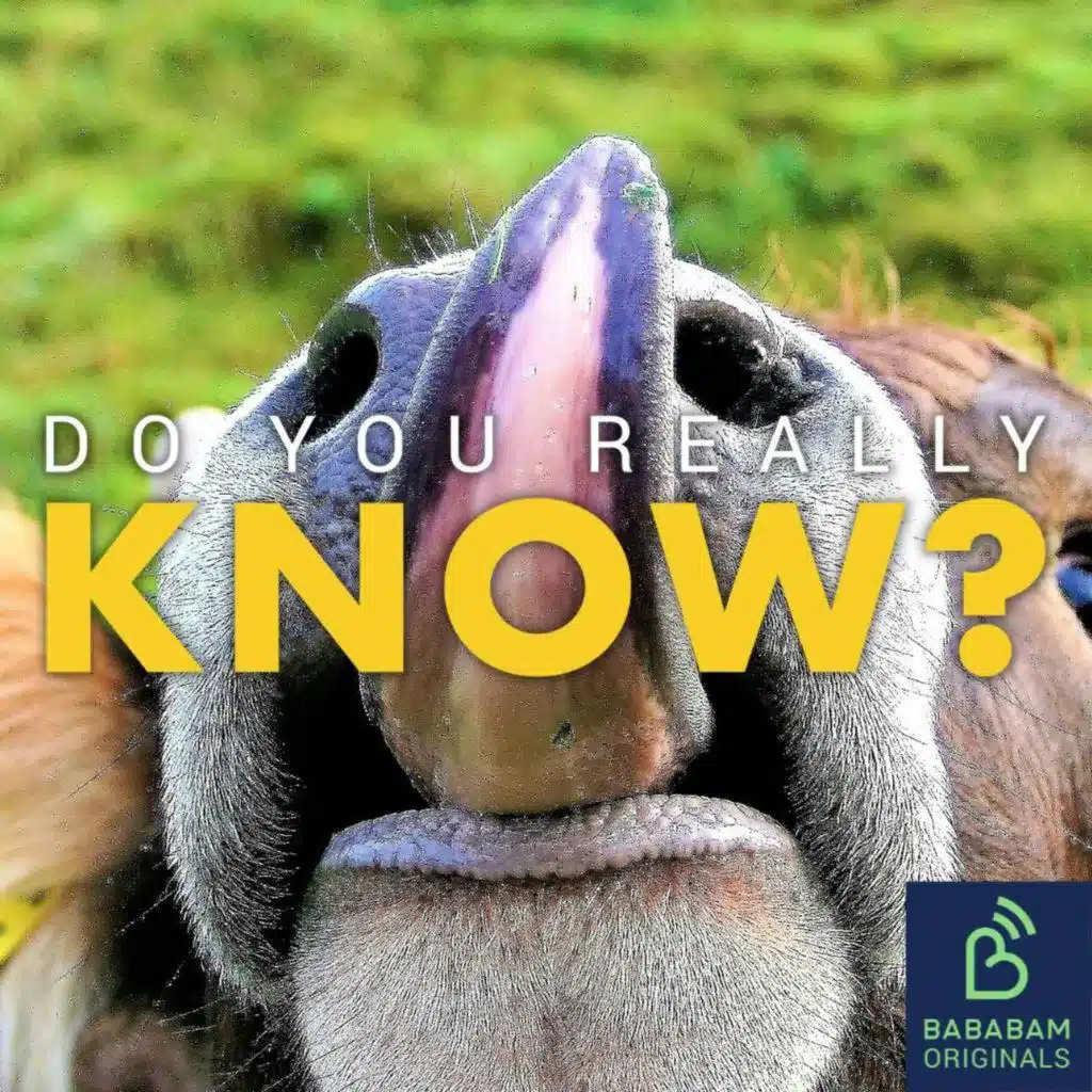 Do tongue scrapers actually help with bad breath?
