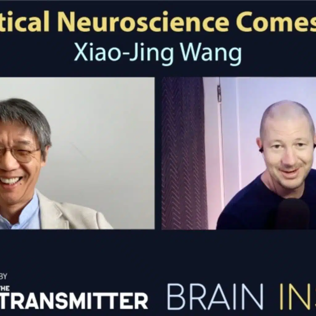 BI 215 Xiao-Jing Wang: Theoretical Neuroscience Comes of Age