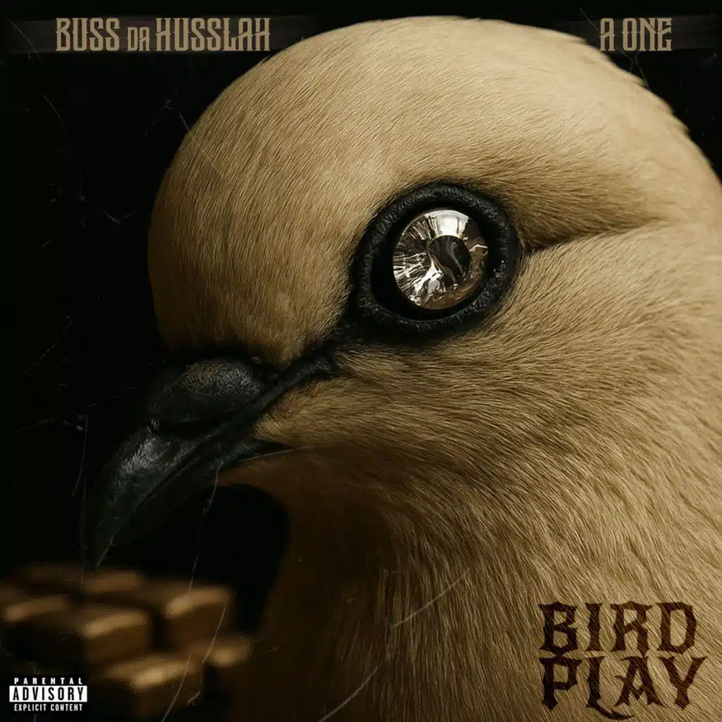 Bird Play