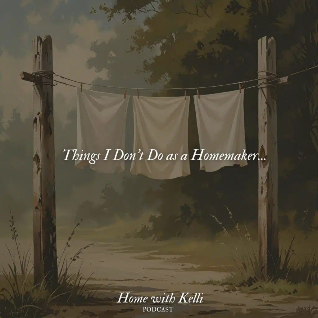 Things I Don’t Do/Use in Building Our Home Economy- Pursuing a life of Health and Simplicity
