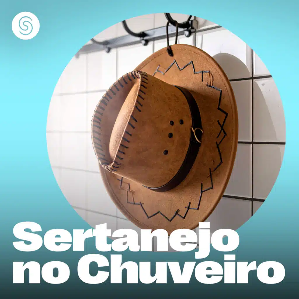 Sertanejo no Chuveiro - Hits Românticos 2025 (Ao Vivo)